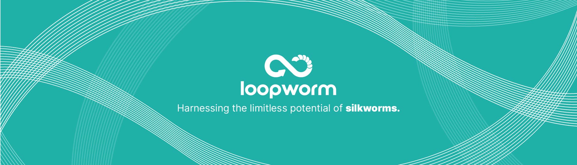 LOOPWORM PRIVATE LIMITED
