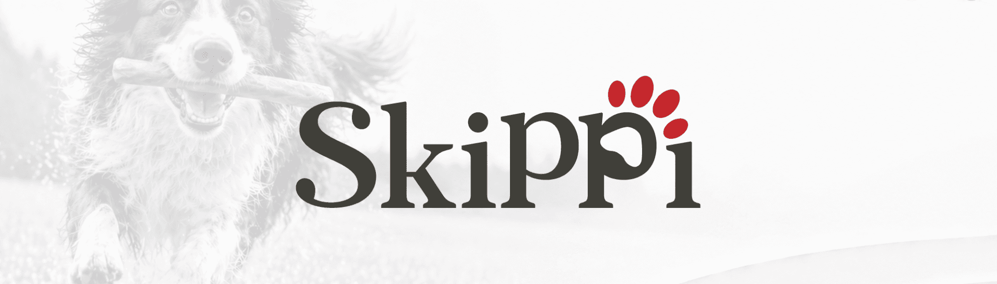 Skippi Pet Treats International LLC