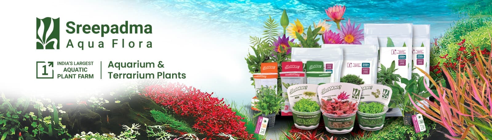 Sreepadma Aqua Flora