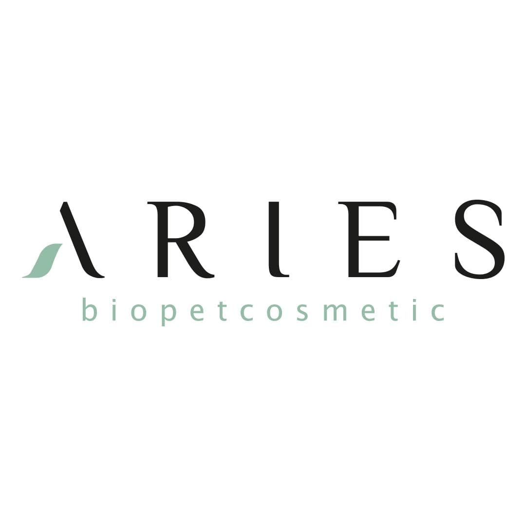 ARIES SRL logo
