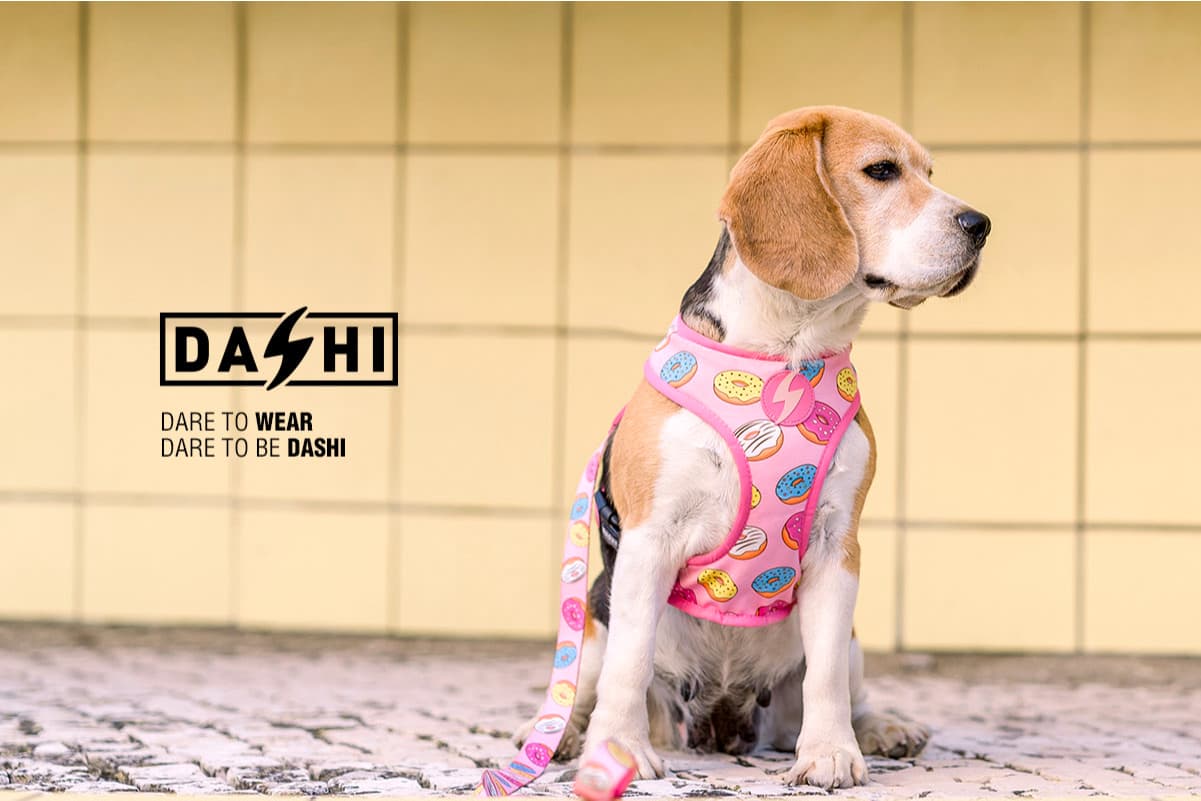 DASHI