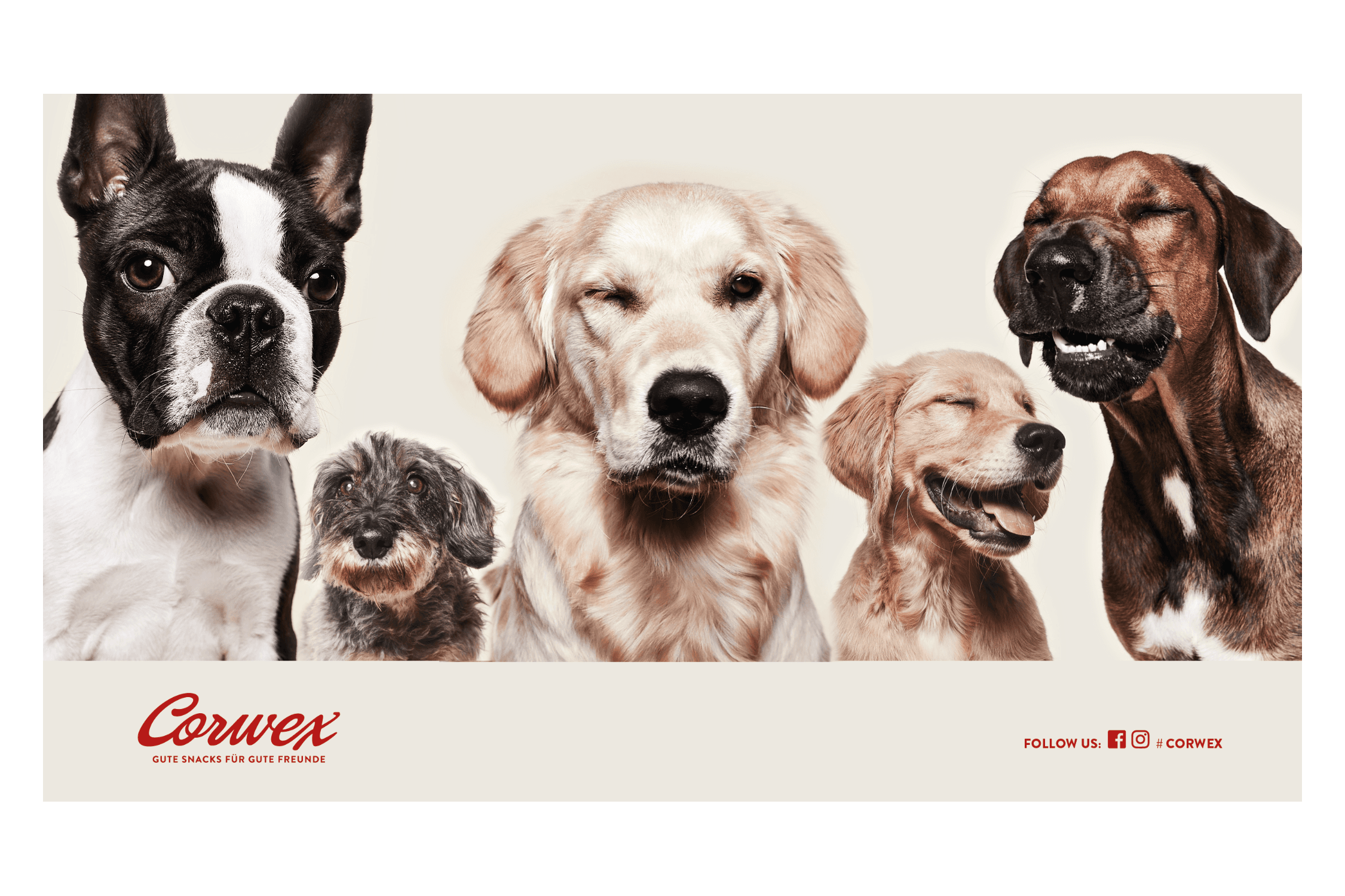 Royal Animal GmbH