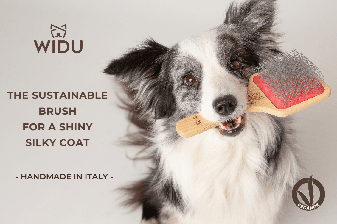 WIDU