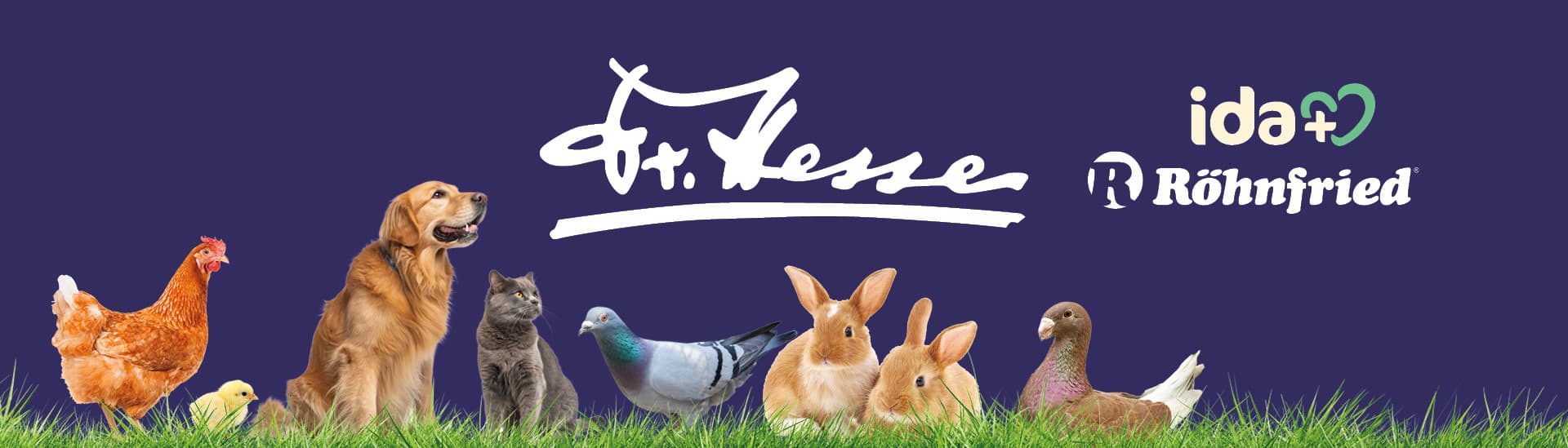 Dr. Hesse | ida+ | Röhnfried