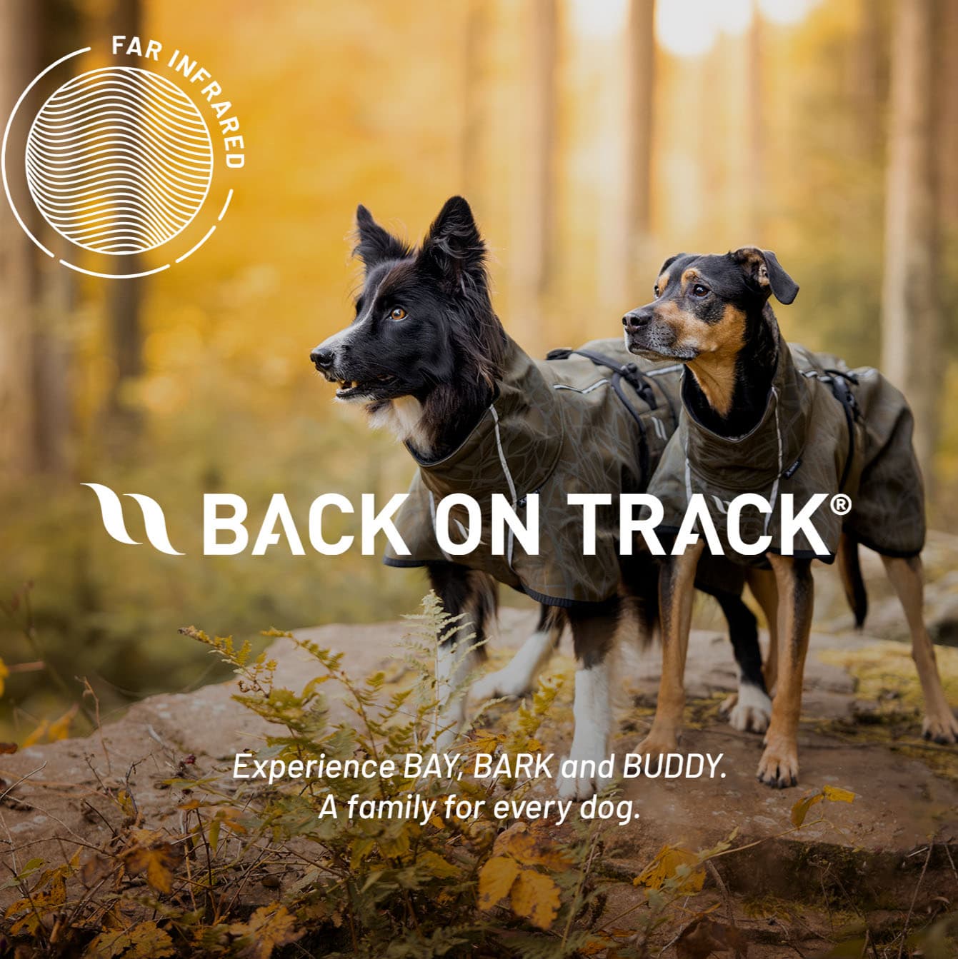 Back on Track GmbH logo