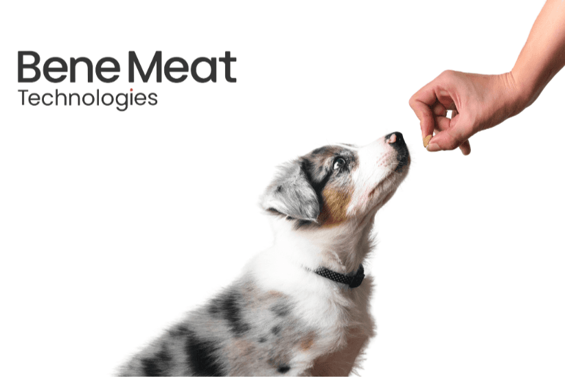 Bene Meat Technologies a.s.