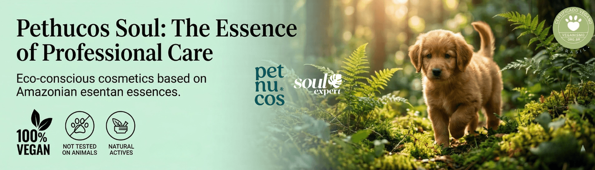 PETHUCOS INDUSTRIA E COMERCIO DE CO