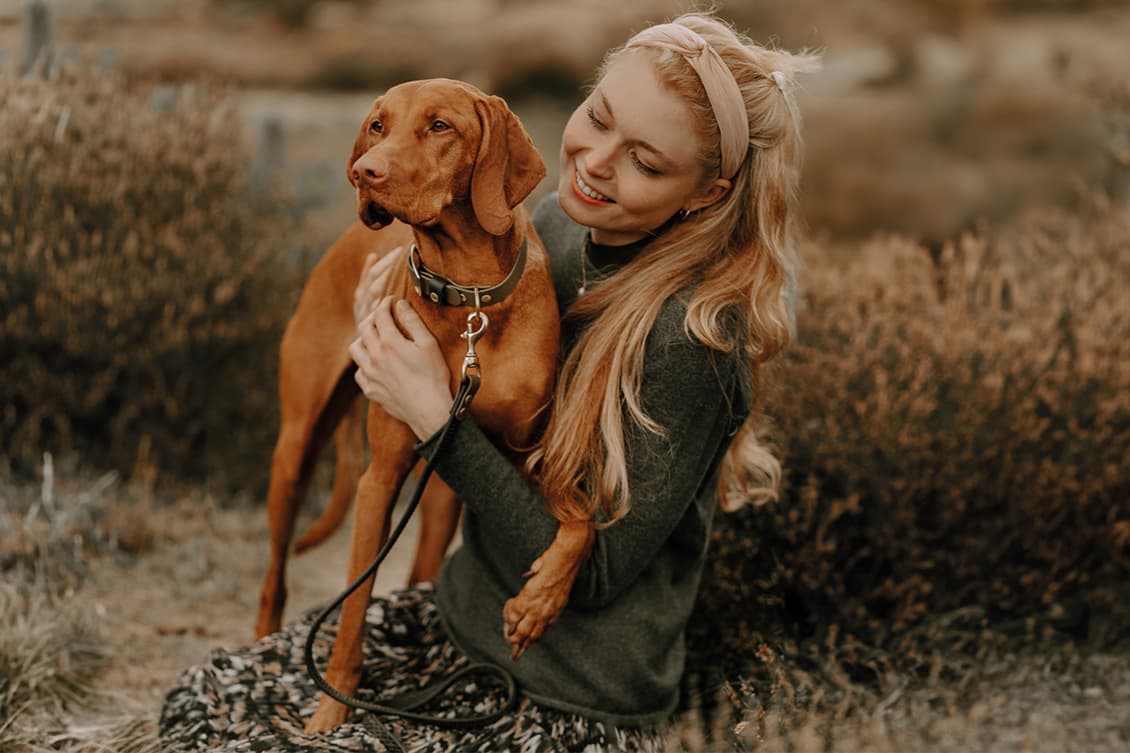 DOGSTYLER