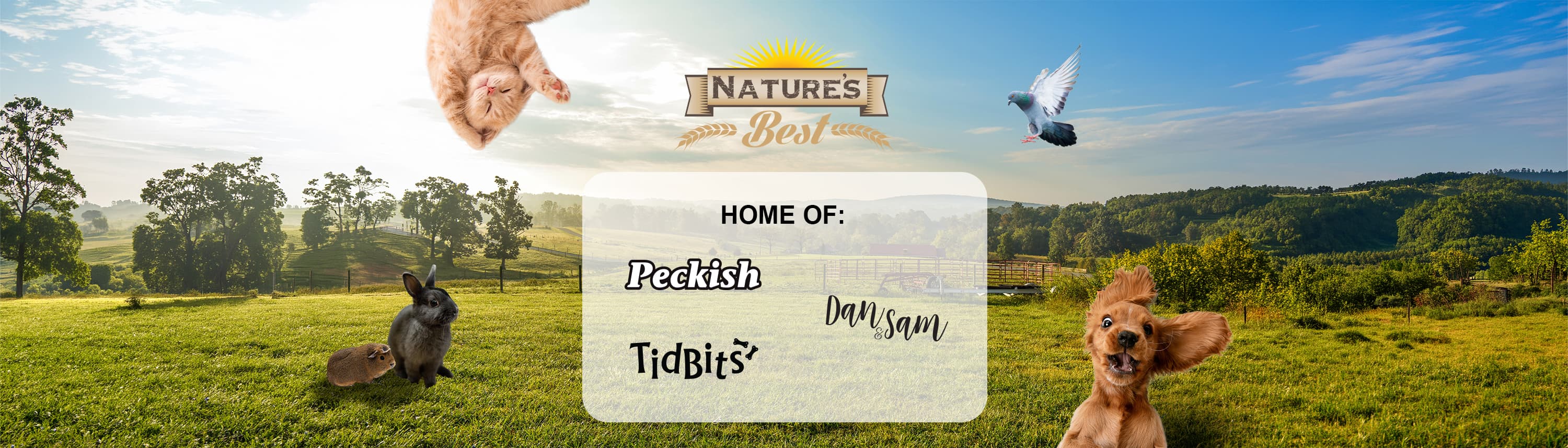 Nature's Best (Tas) Pty Ltd