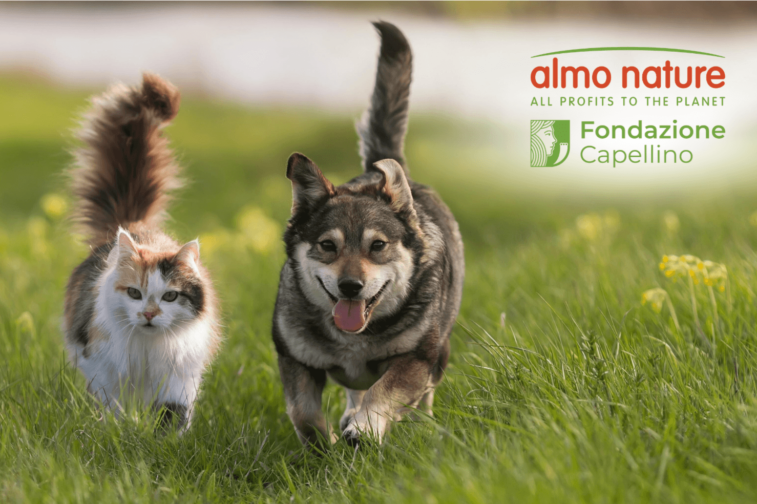 ALMO NATURE BENEFIT - FONDAZIONE CAPELLINO