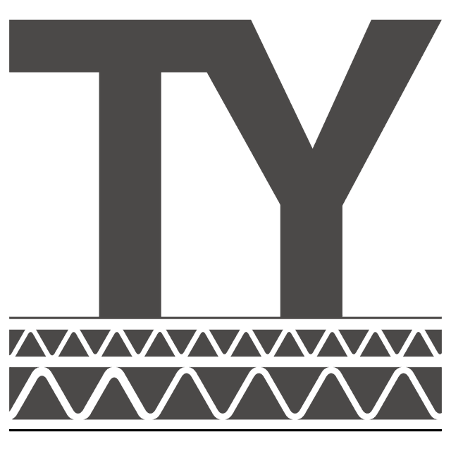 Ta Yen Paper Box Container Ltd logo