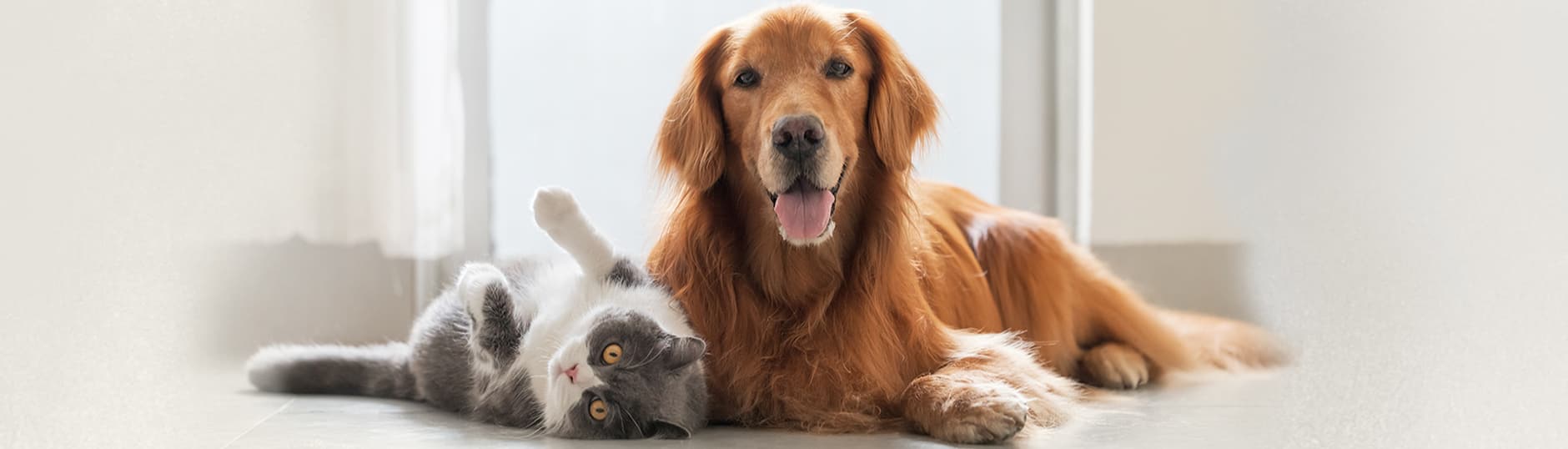 Milo & Mia GmbH