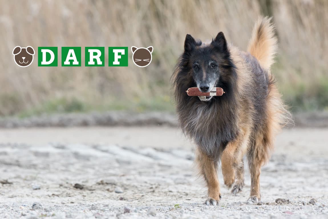 DARF Deutschland GmbH
