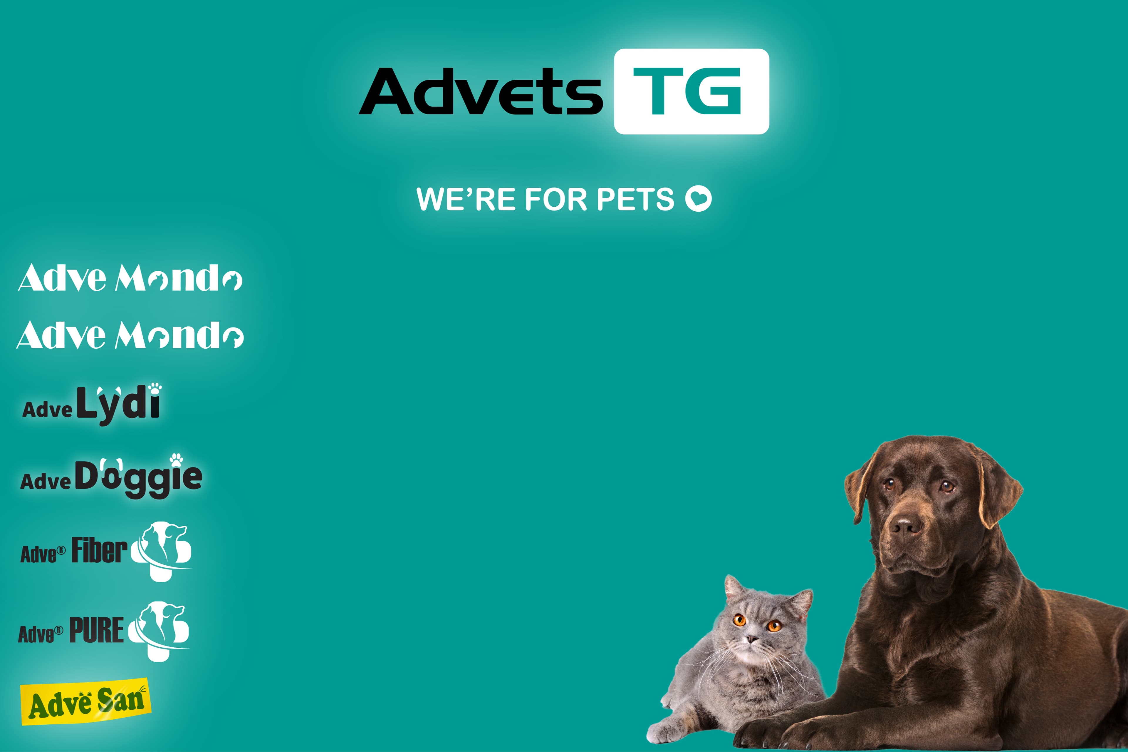 Advets TG GmbH & Co. KG