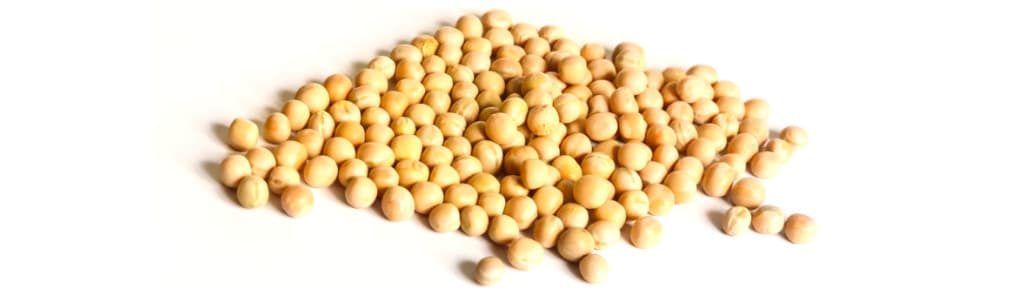 AM Nutrition AS