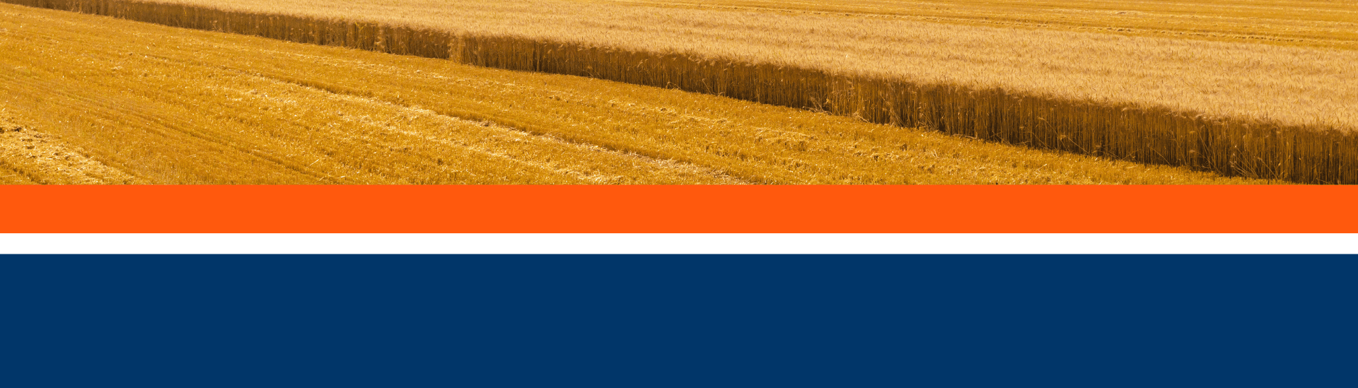 Royal Ingredients Group BV