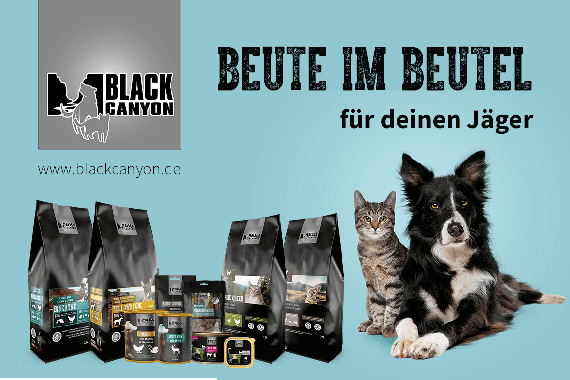 BLACK CANYON