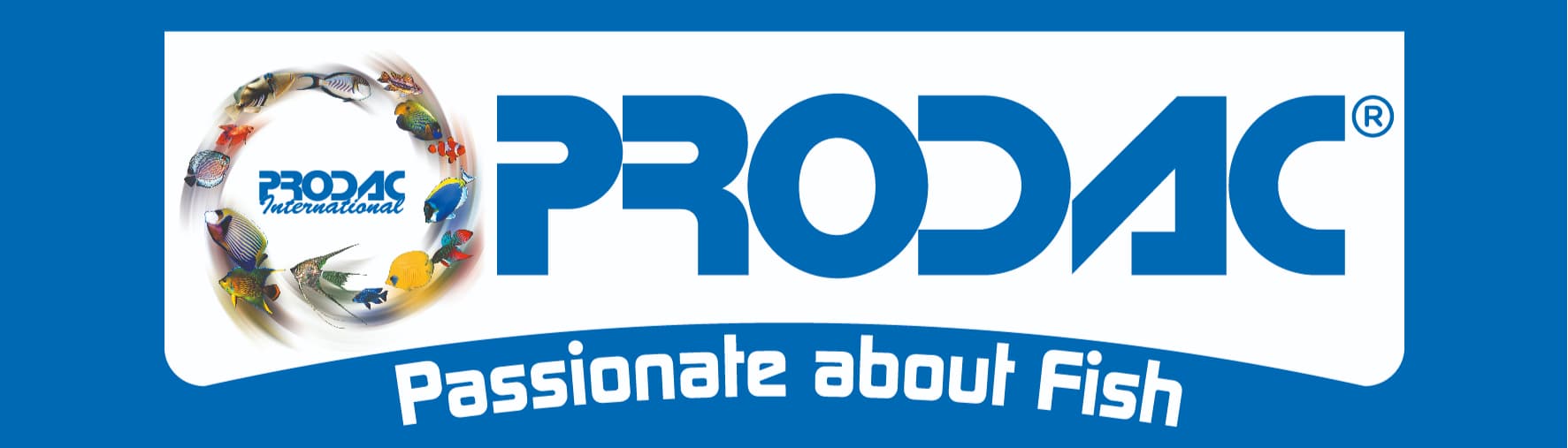 PRO.D.AC International S.r.l.