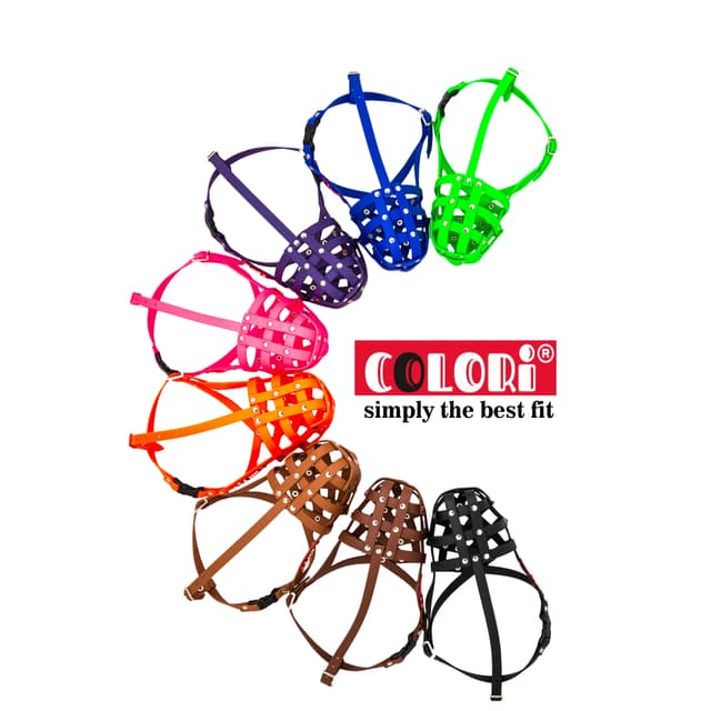 Colori® - Muzzleking logo