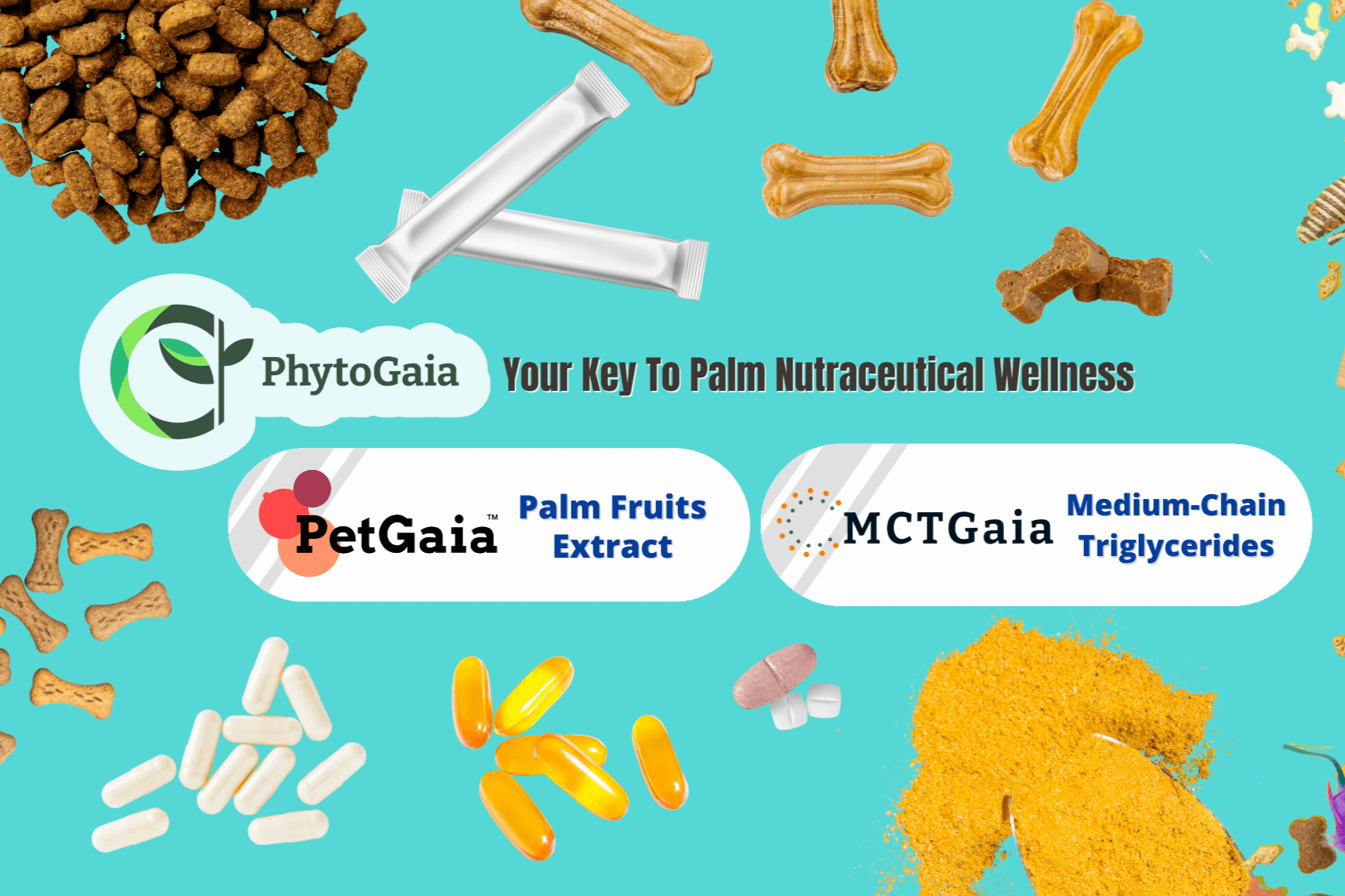 PhytoGaia Sdn Bhd