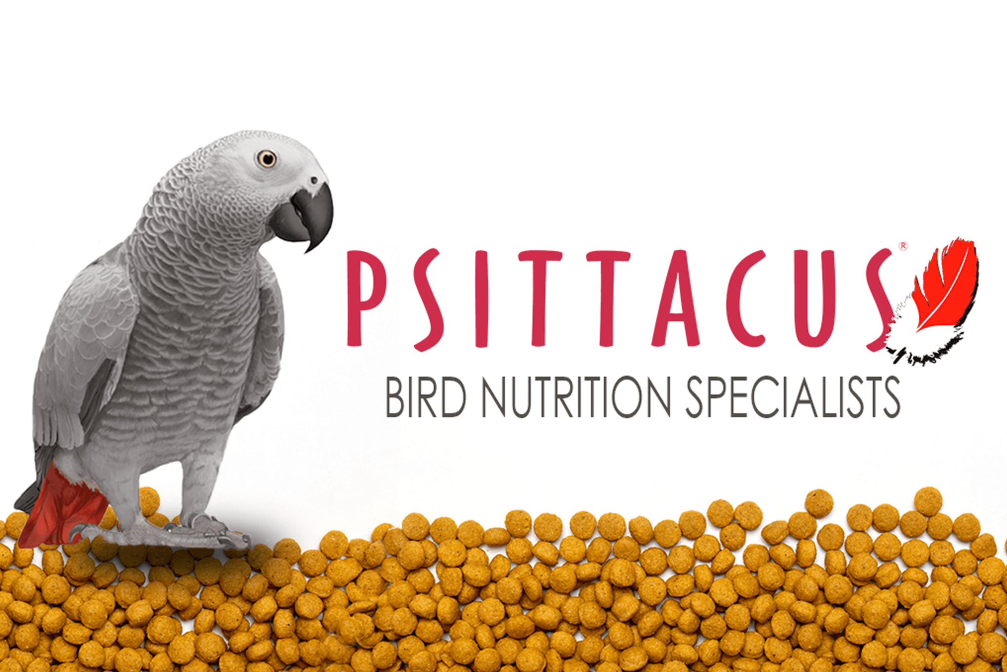 Psittacus Catalonia, S.L