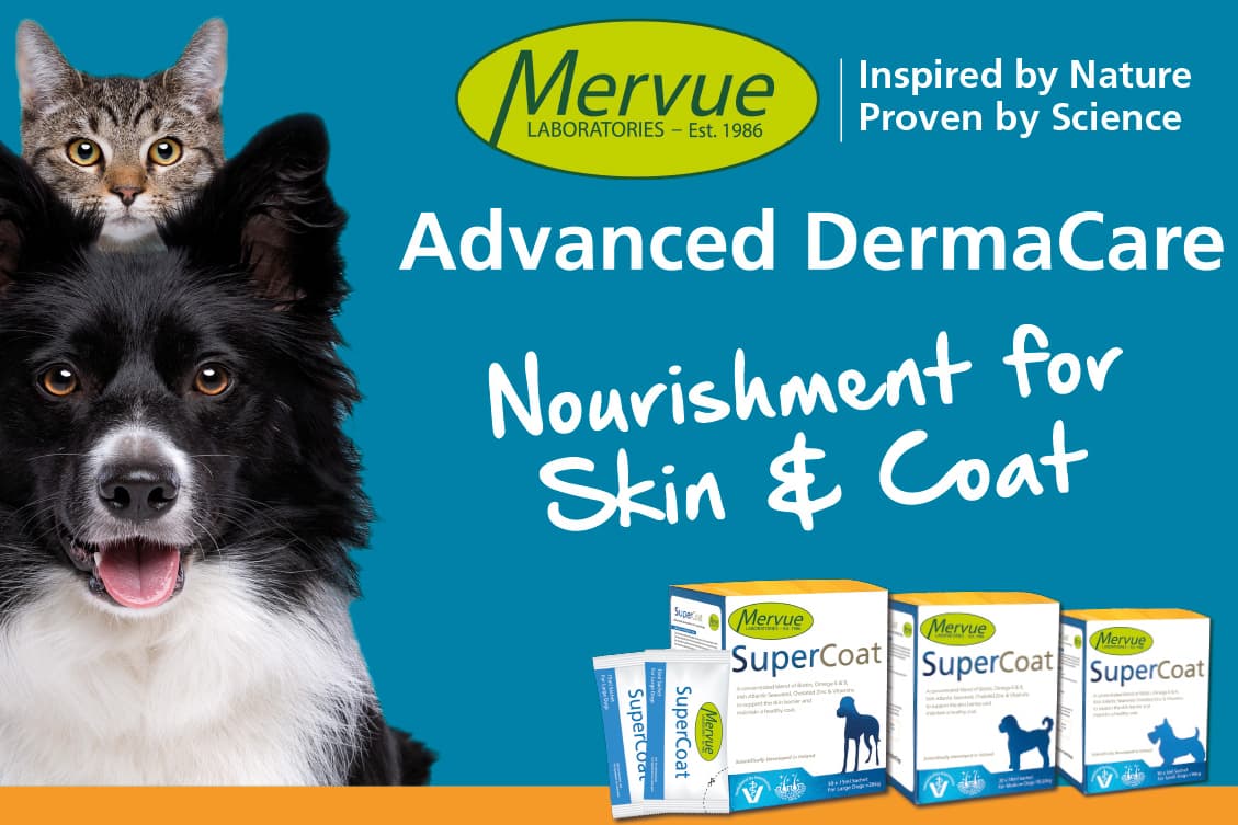Mervue Laboratories Ireland