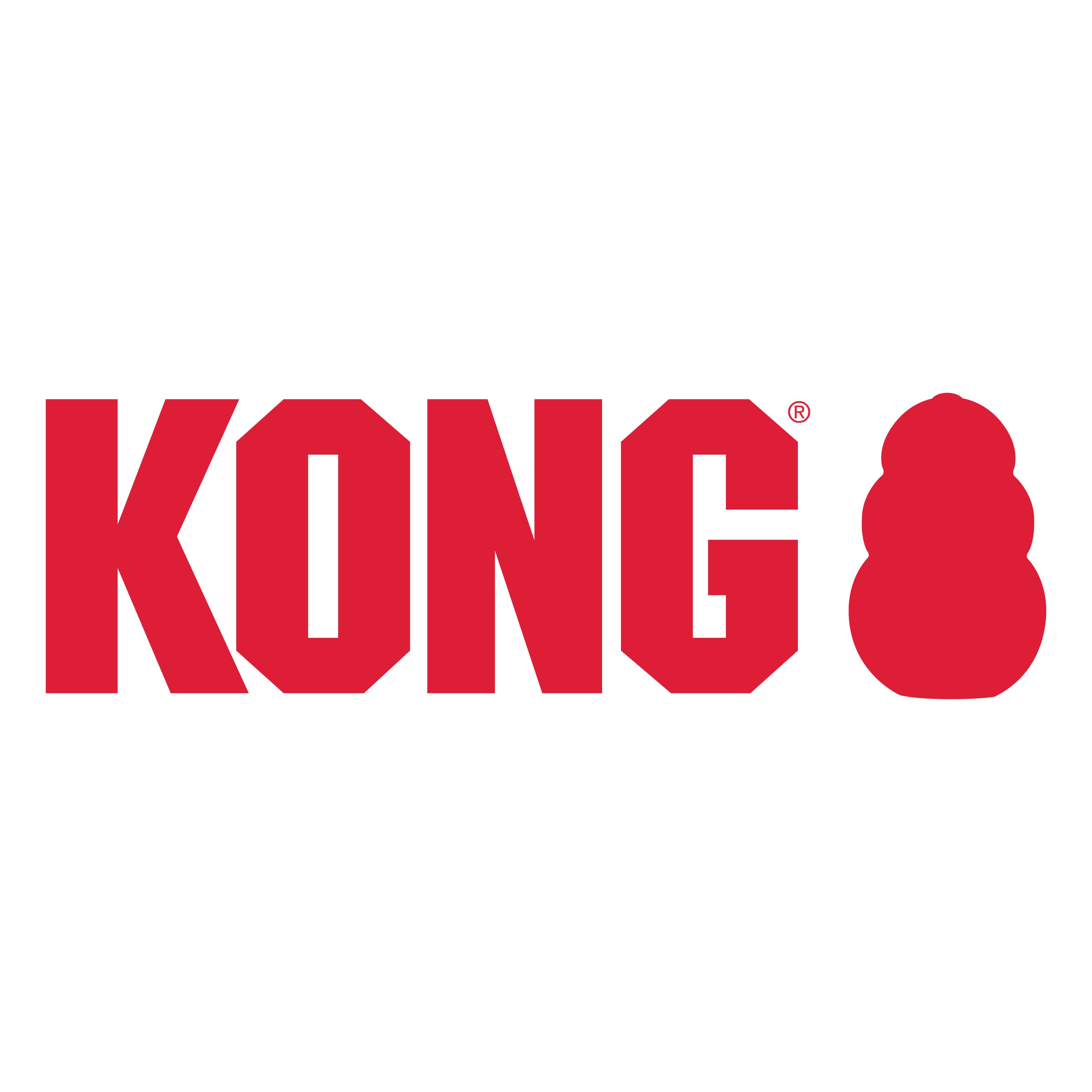 KONG Company Limited logo