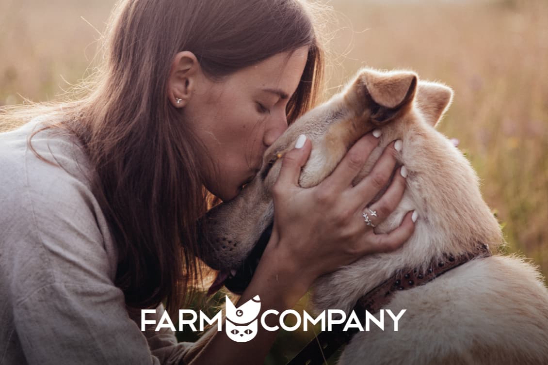 FARM COMPANY SRL