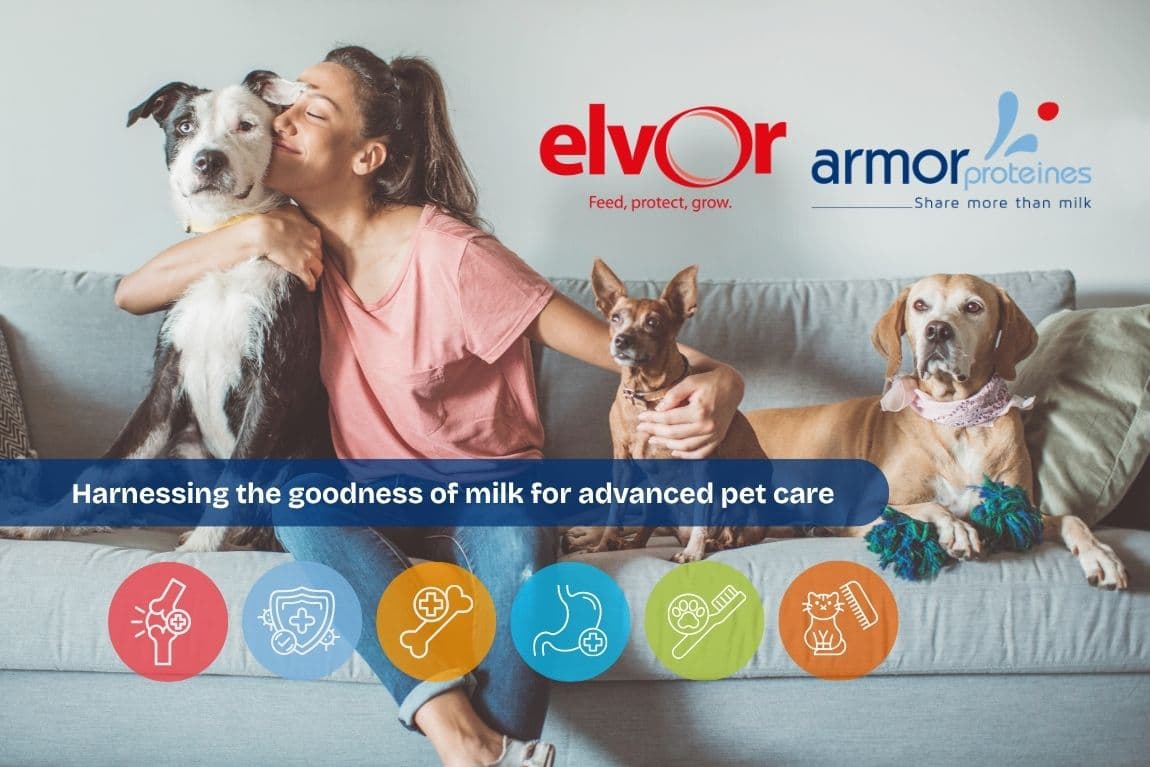 Armor Protéines - Elvor