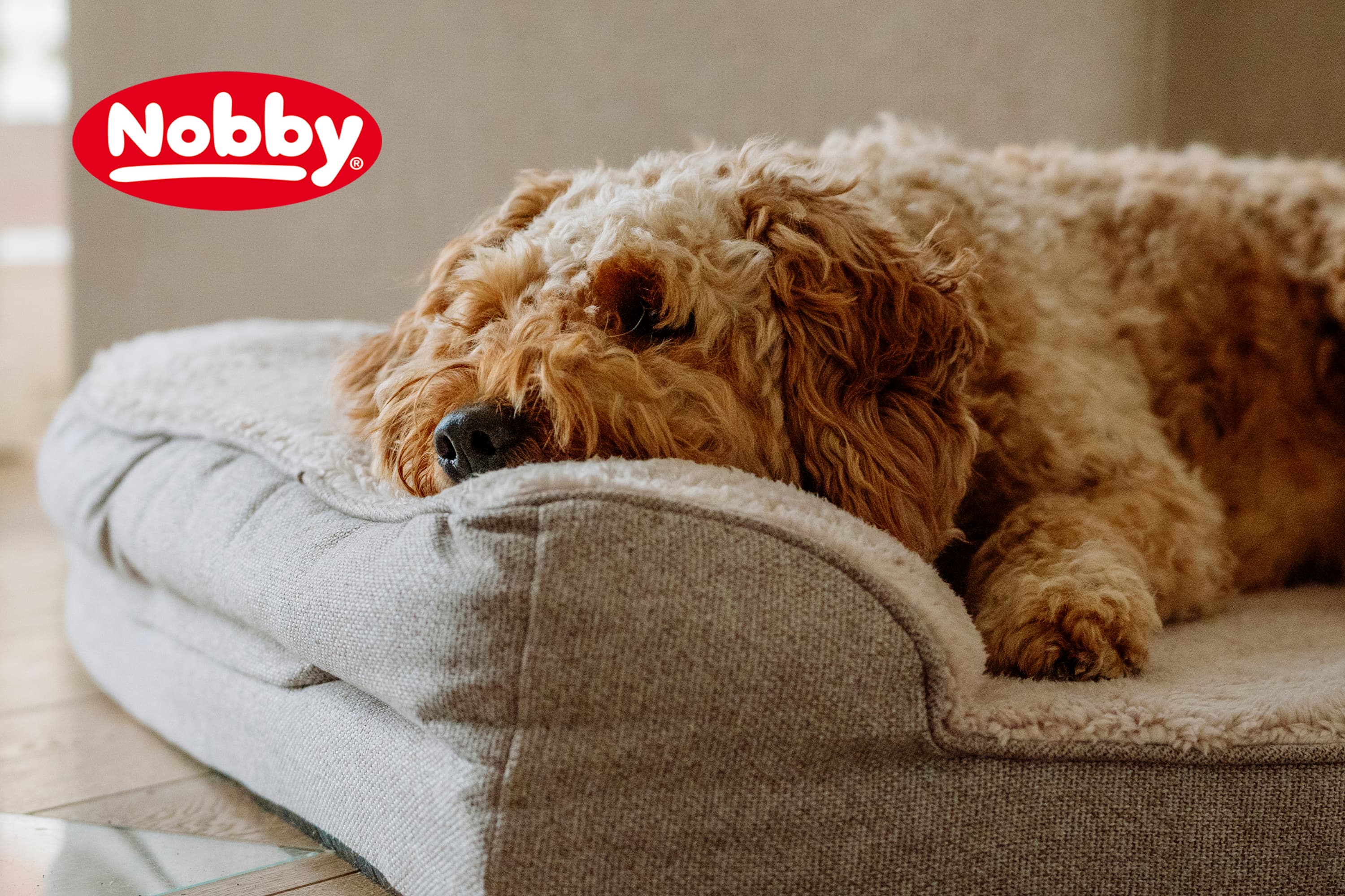 Nobby Pet Shop GmbH