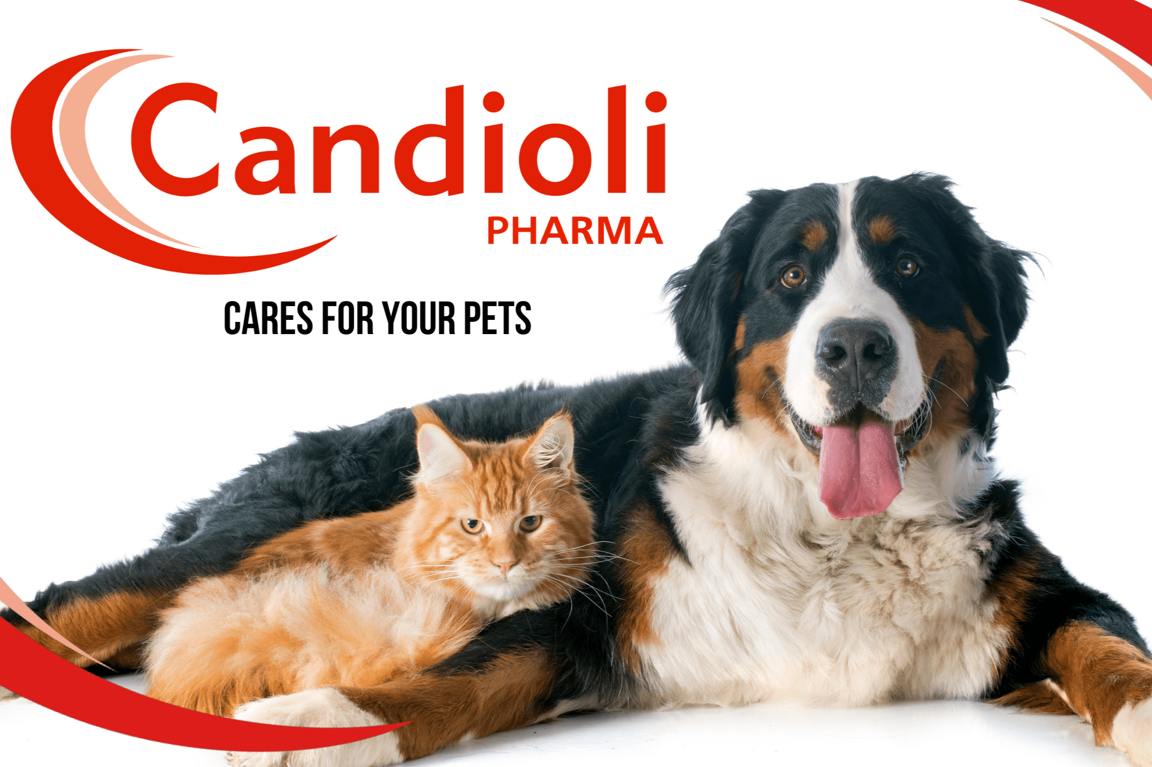 Candioli pharma
