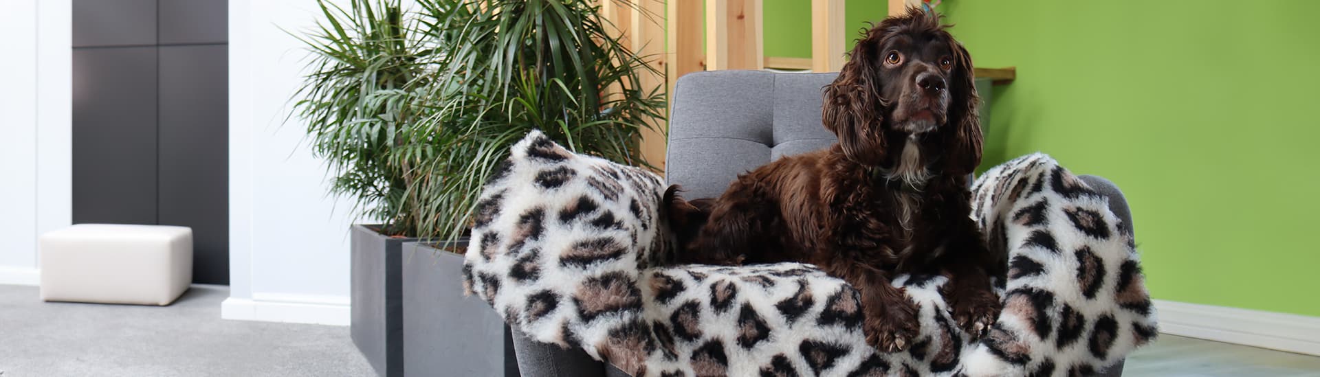 Simply2 Pet Products