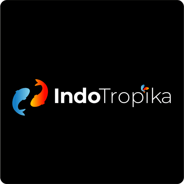 IndoTropika Ornamental Fish logo