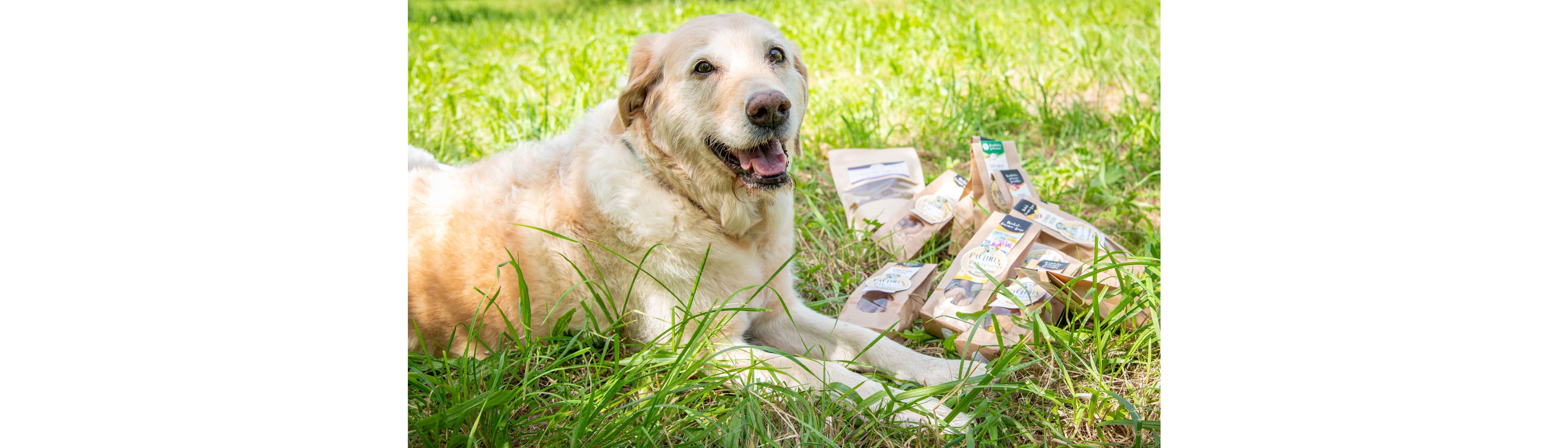 Paulines Pawtisserie Hundekeksmanufaktur