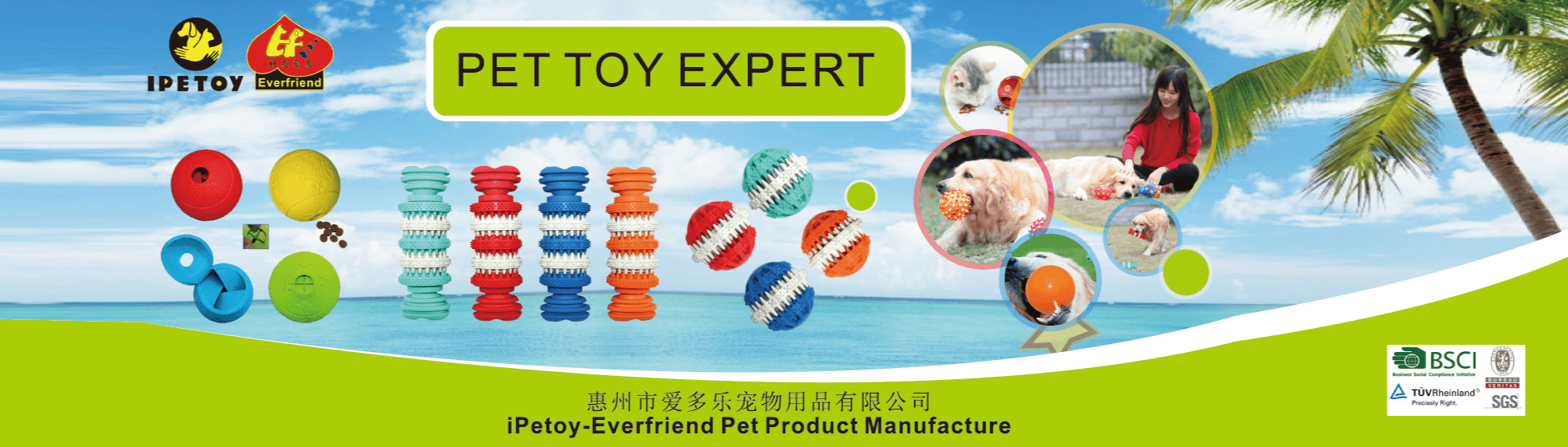 IPETOY-EVERFRIEND PET PRODUCT MANUFACTURE