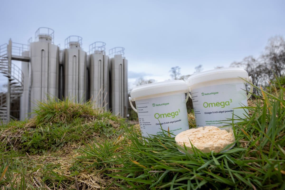 MiAlgae