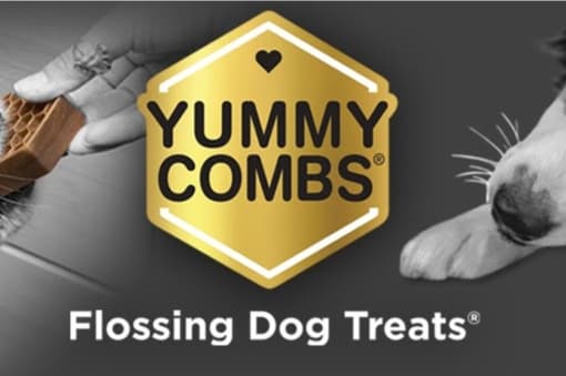 Yummy Combs