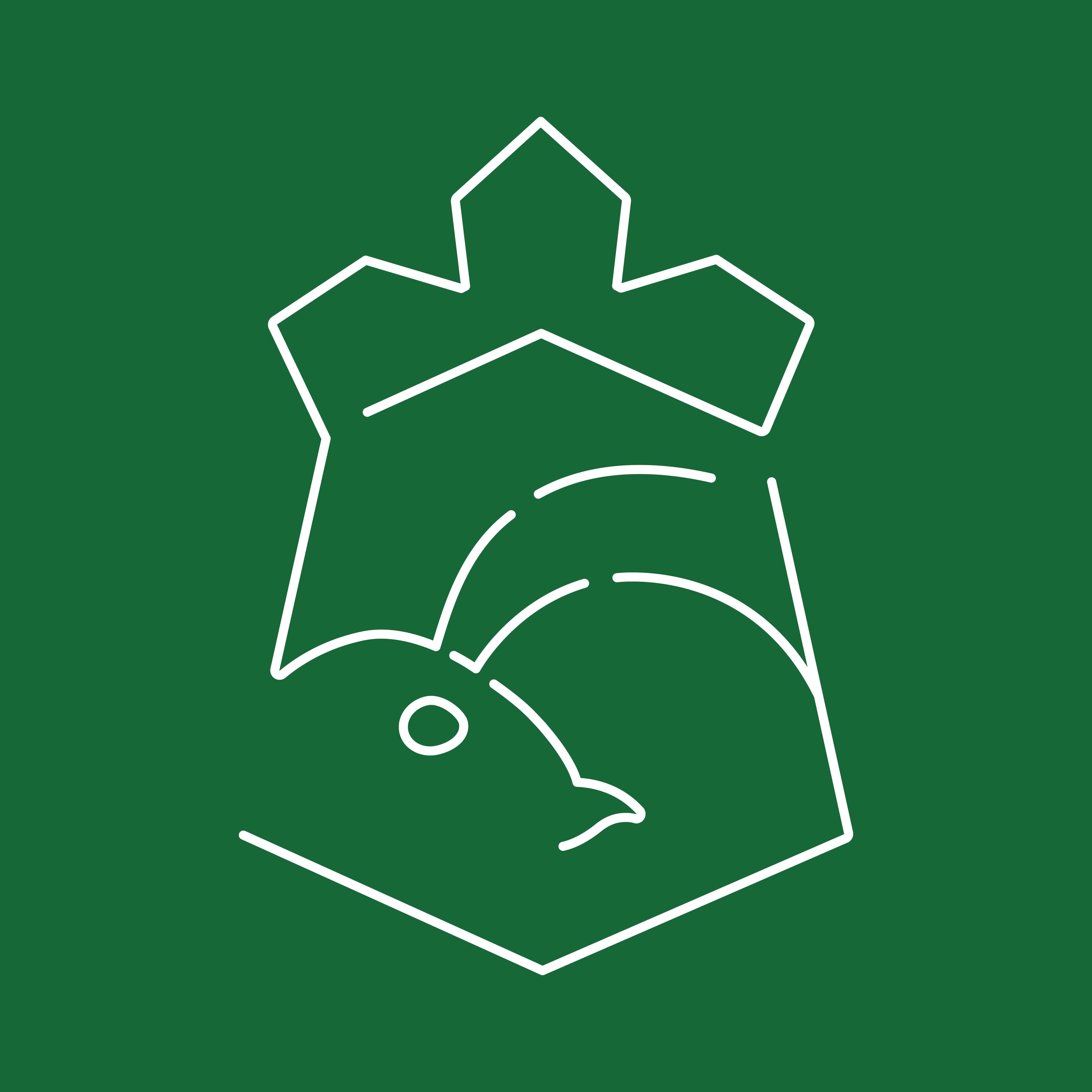 Empire of ants CO., LTD. logo