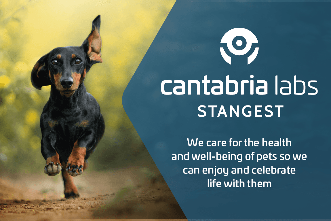 Cantabria Labs Stangest