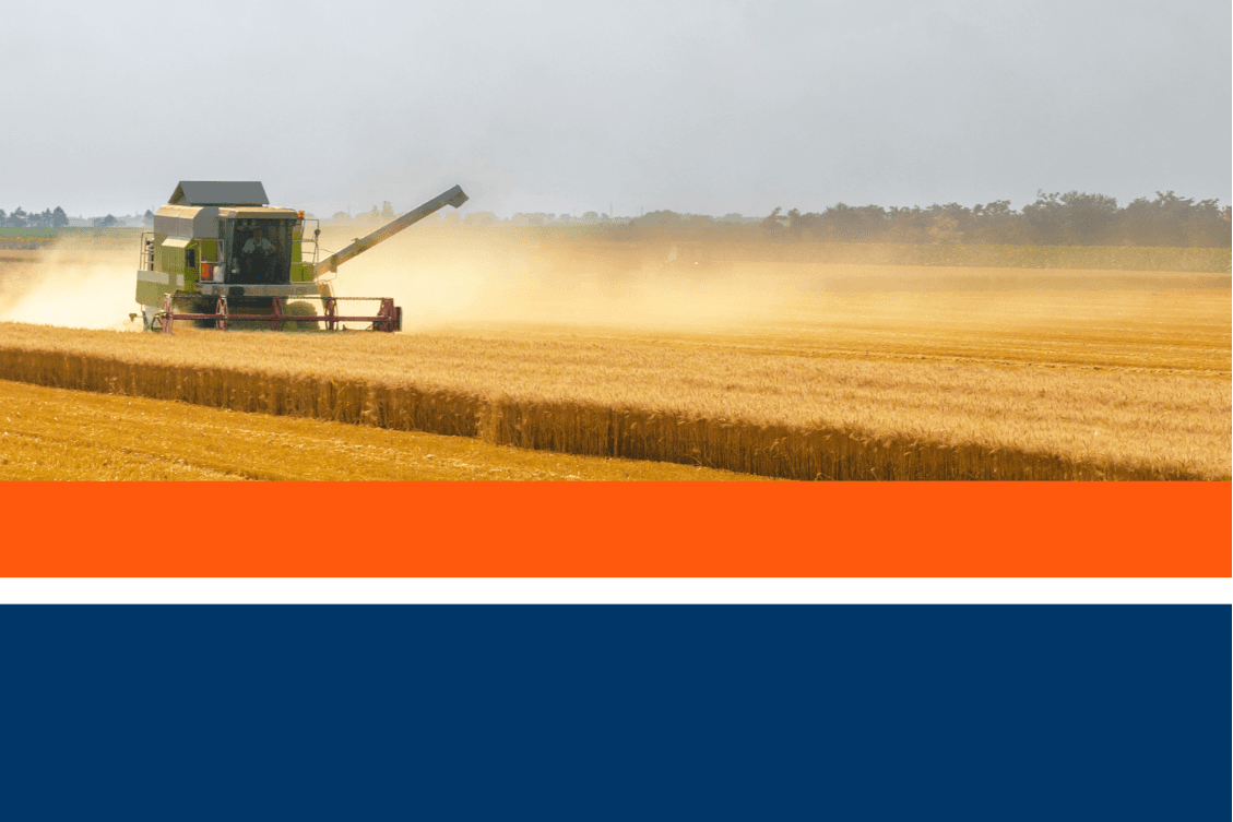 Royal Ingredients Group BV