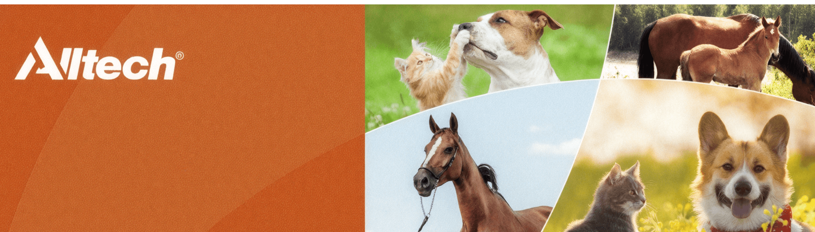Alltech Pets