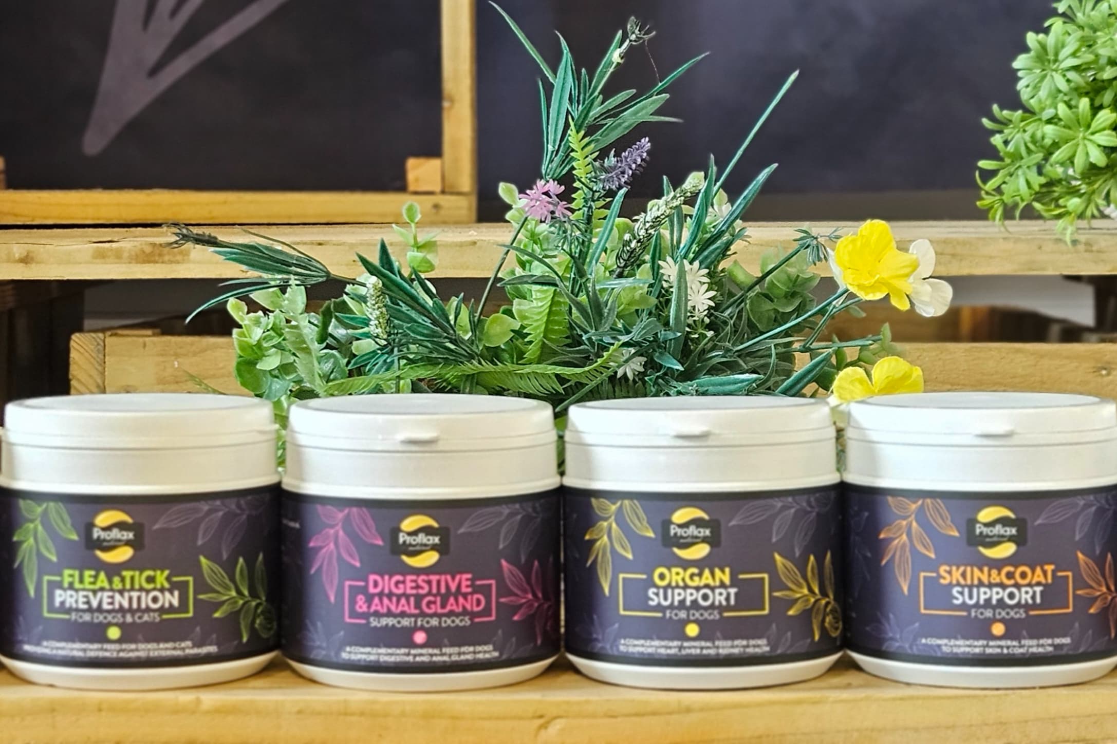 Proflax Superfood Supplements