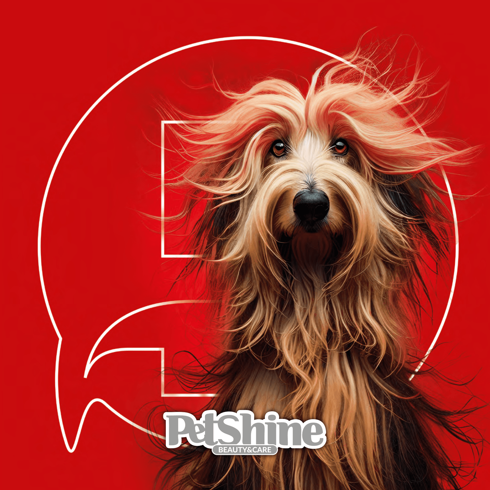 PORRINIGROUP S.r.l.  Petshine logo