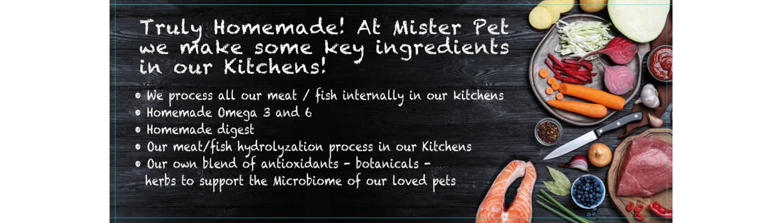 Mister Pet S.P.A