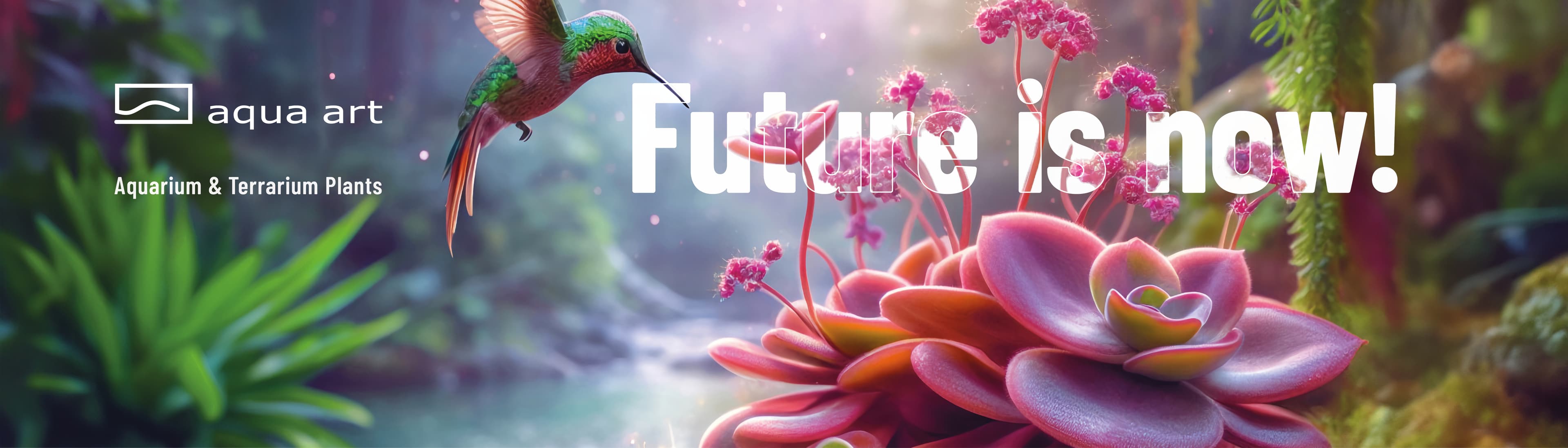 Aqua Art Aquarium & Terrarium Plants