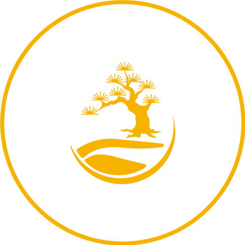 Song Liang Incorporated Company logo