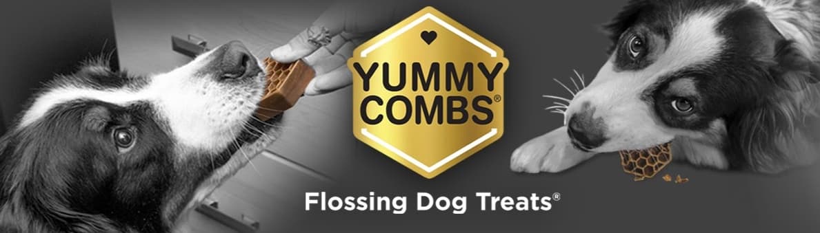 Yummy Combs