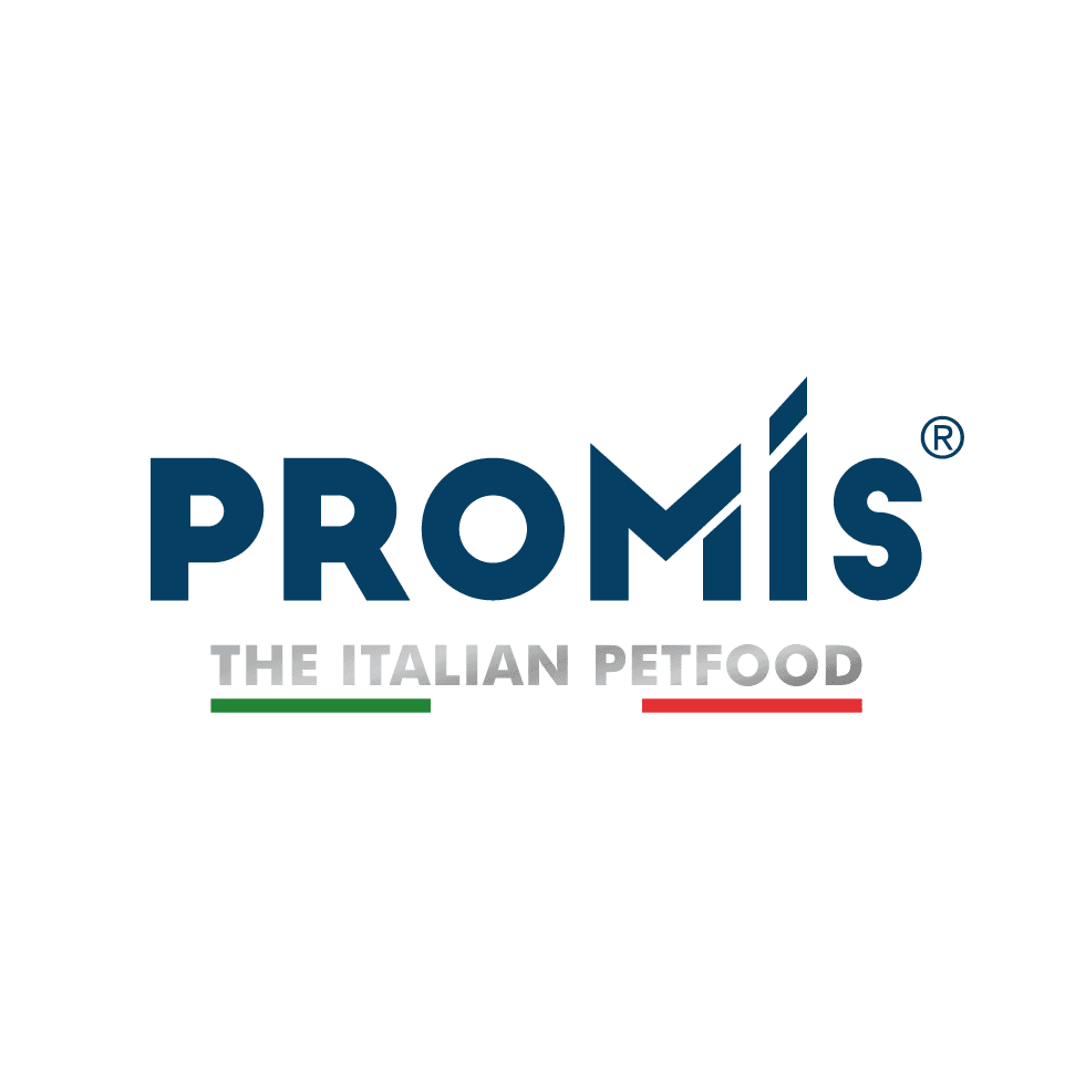 Promis srl logo
