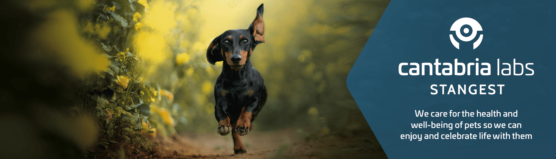 Cantabria Labs Stangest