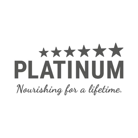 PLATINUM GmbH & Co. KG logo